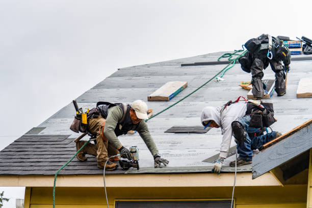 Professional Emergency Roof Repair technician working in Dorchester, MA